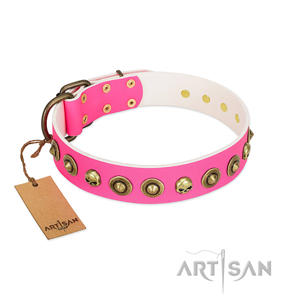 Impressive leather dog collar with strong decorations