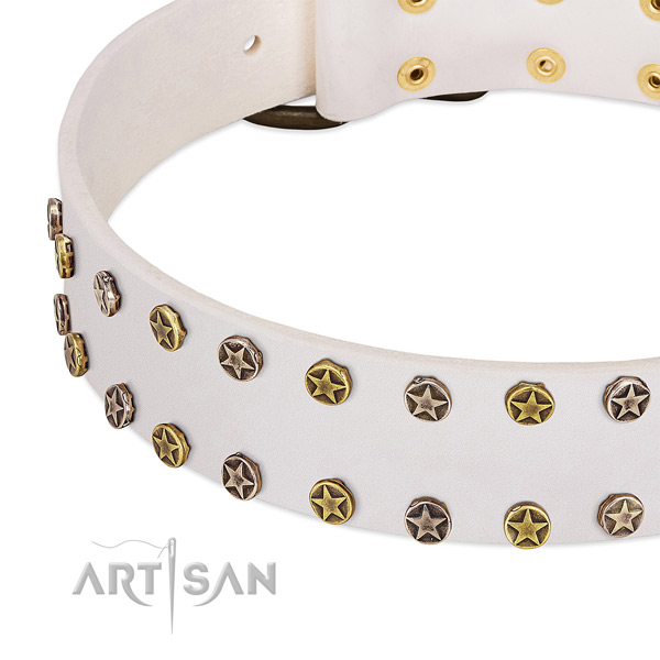 Extraordinary studs on full grain leather collar for your pet
