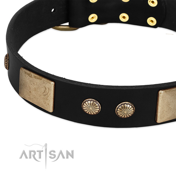 Genuine leather dog collar with decorations for everyday walking