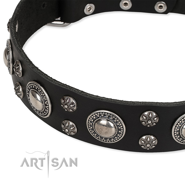 Everyday use embellished dog collar of high quality leather