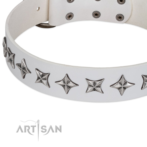 Daily use decorated dog collar of quality genuine leather