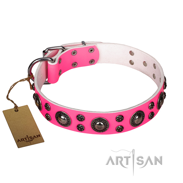 Daily use dog collar of quality full grain natural leather with studs