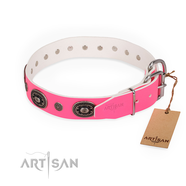 Stylish walking embellished dog collar with durable buckle