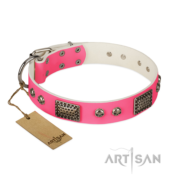 Easy wearing full grain natural leather dog collar for everyday walking your doggie