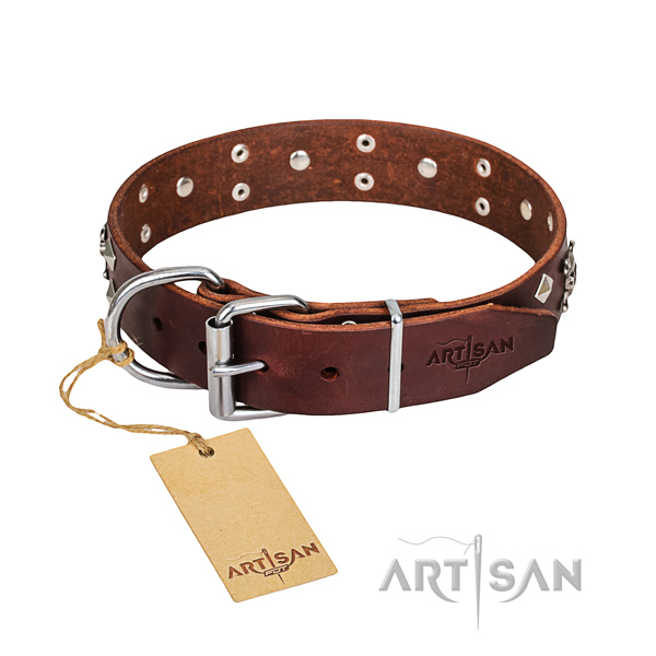 Everyday walking dog collar of finest quality leather with adornments