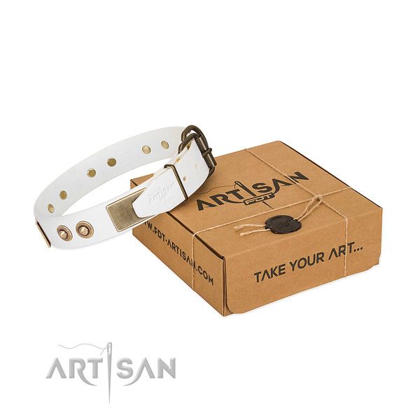 Corrosion proof adornments on natural genuine leather dog collar for your pet