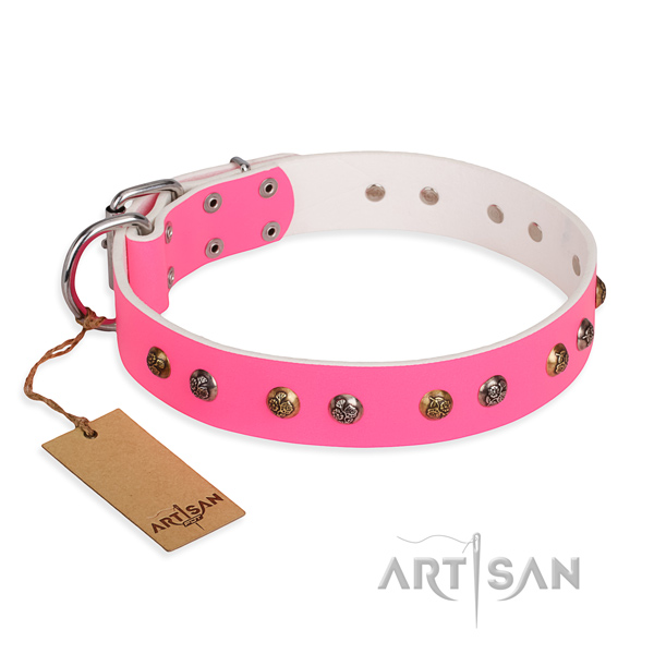Everyday use decorated dog collar with reliable hardware