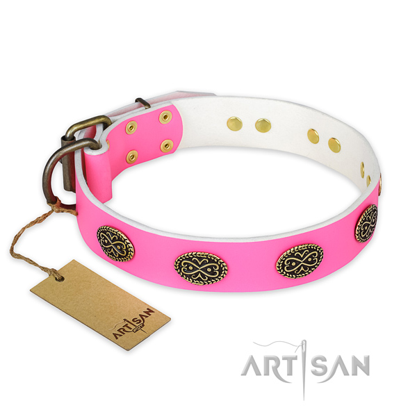 Extraordinary leather dog collar for walking