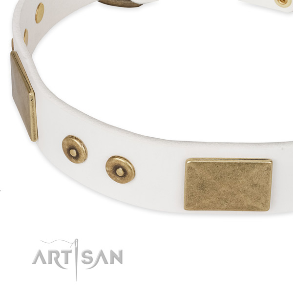 Corrosion proof fittings on full grain genuine leather dog collar for your dog