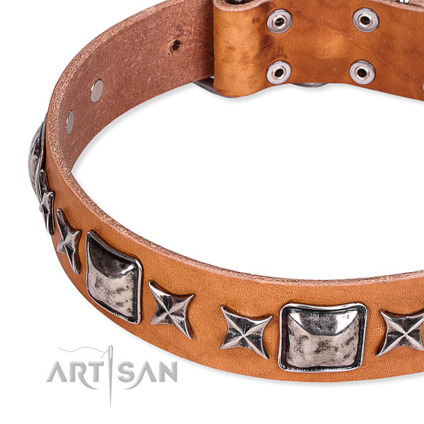 Everyday walking studded dog collar of best quality full grain genuine leather