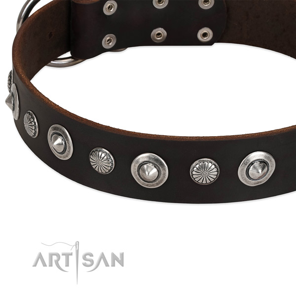 Amazing adorned dog collar of reliable natural leather