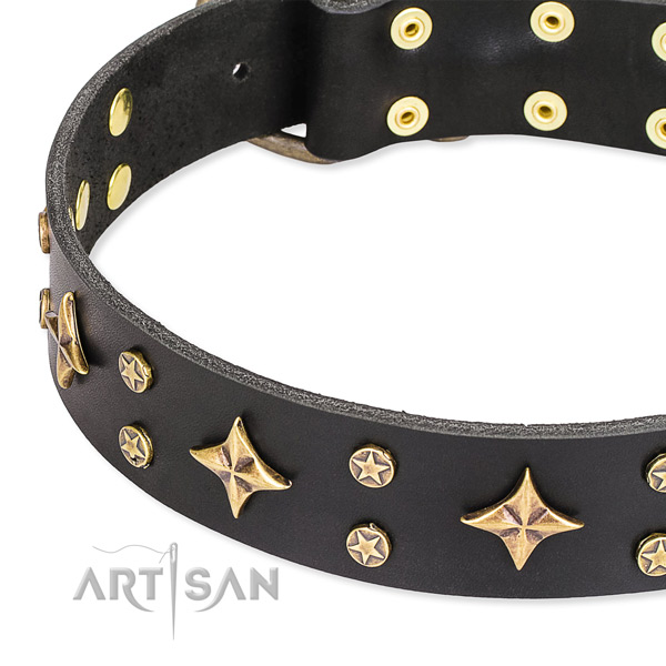 Easy wearing studded dog collar of quality full grain leather