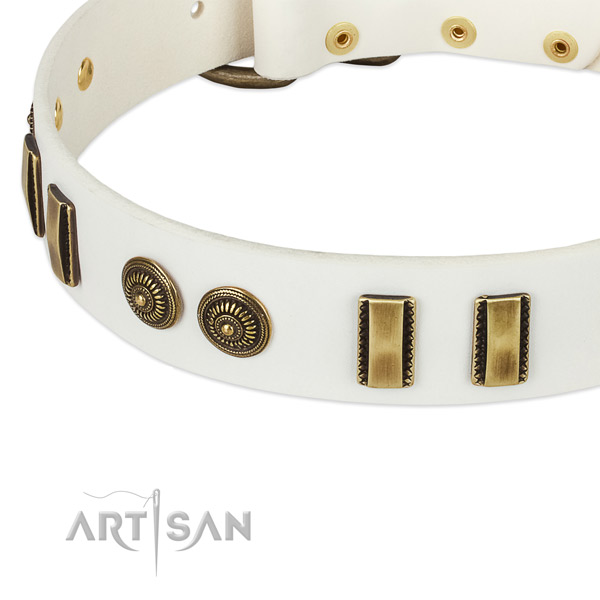 Reliable buckle on full grain natural leather dog collar for your four-legged friend