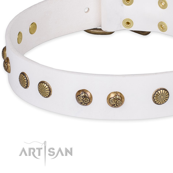 Genuine leather collar with rust resistant traditional buckle for your lovely dog