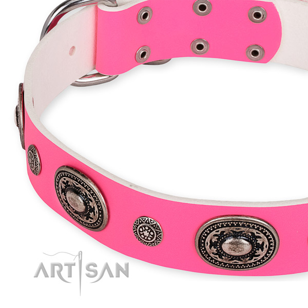 Natural genuine leather dog collar with stylish corrosion proof adornments