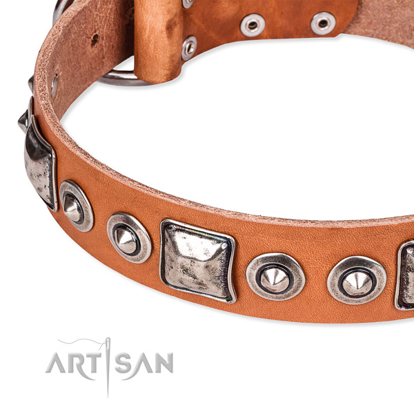 Top notch genuine leather dog collar crafted for your beautiful dog