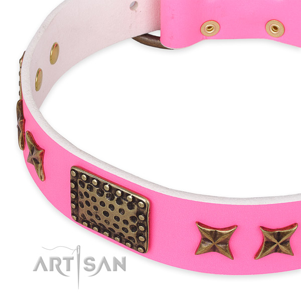 Leather collar with corrosion proof buckle for your attractive four-legged friend