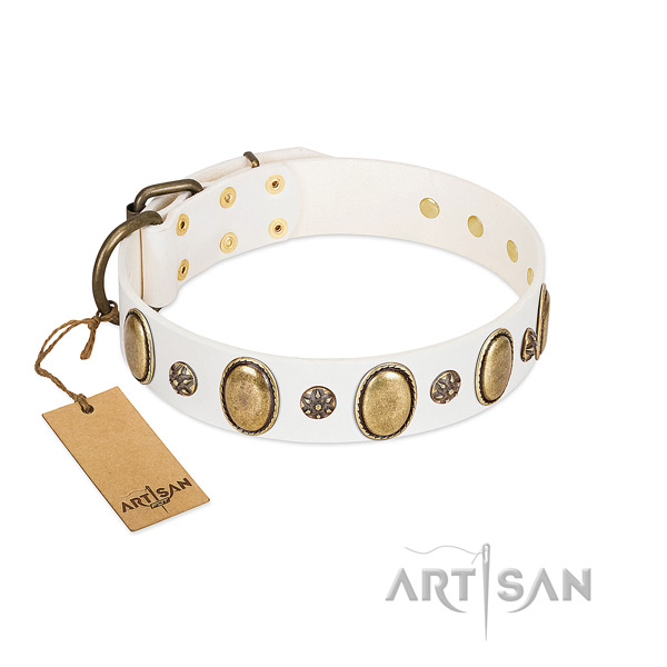 Daily walking high quality full grain genuine leather dog collar