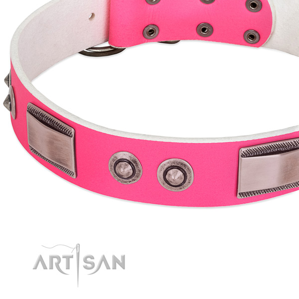 Easy to adjust genuine leather collar with embellishments for your pet