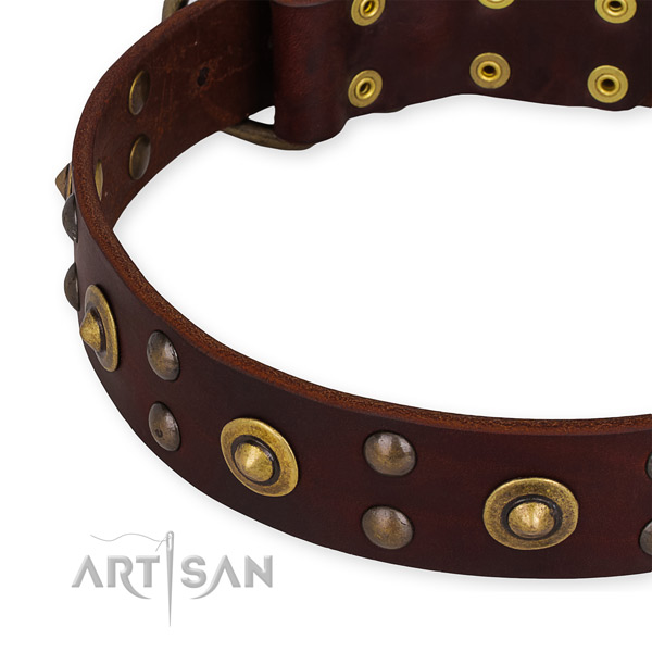 Leather collar with durable D-ring for your lovely dog