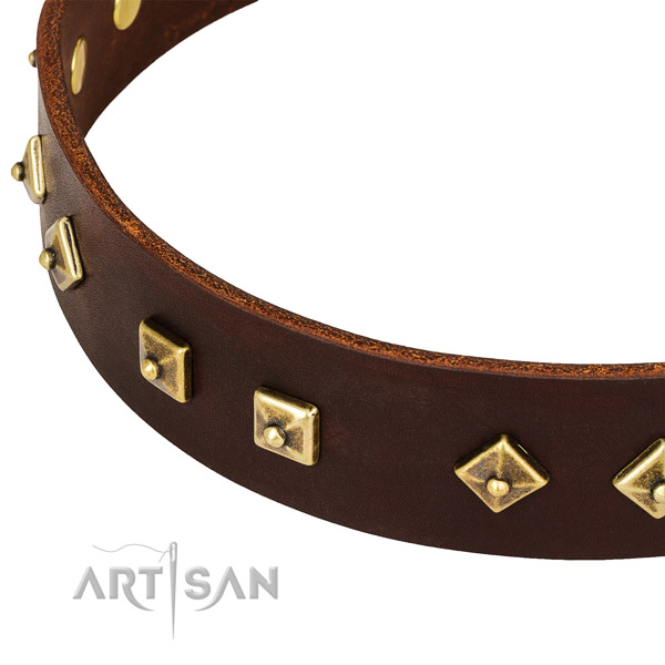 Trendy full grain natural leather collar for your stylish dog