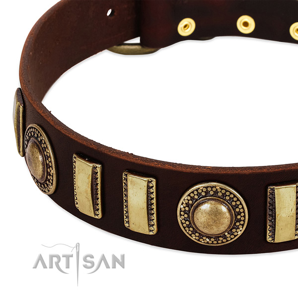 Durable natural leather dog collar with corrosion resistant fittings