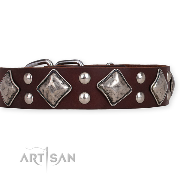 Leather dog collar with significant reliable decorations