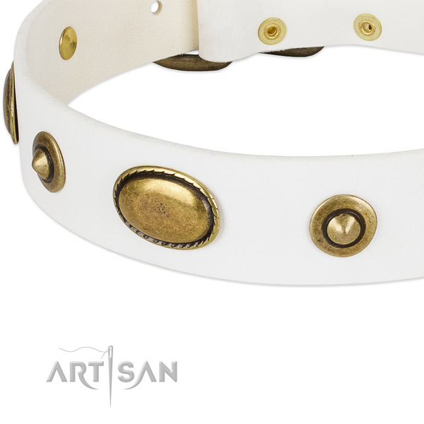 Corrosion proof hardware on natural leather dog collar for your dog