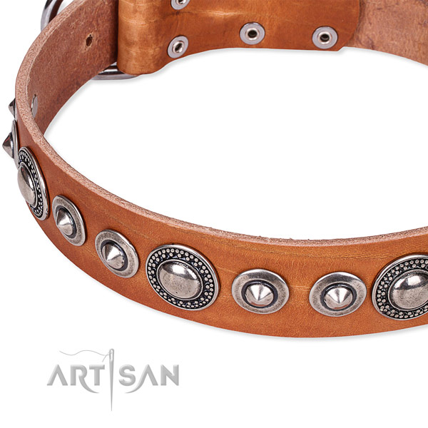 Fancy walking decorated dog collar of strong full grain genuine leather