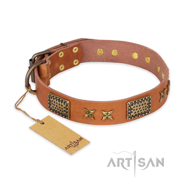 Handmade leather dog collar with reliable D-ring