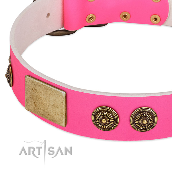 Easy adjustable dog collar handcrafted for your stylish pet