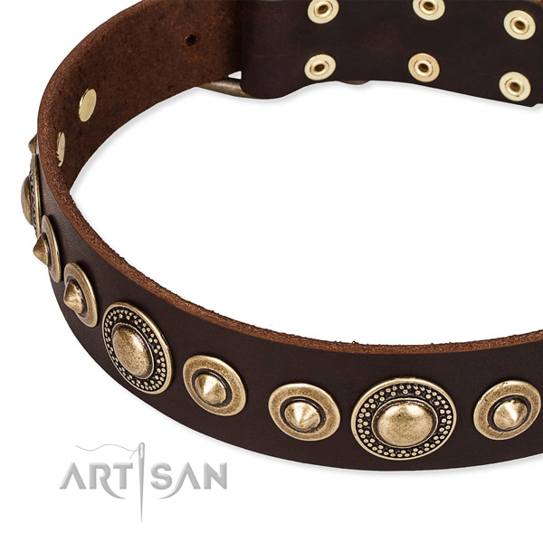 Reliable full grain genuine leather dog collar handcrafted for your beautiful canine