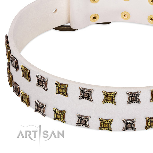 Natural leather dog collar with adornments for your stylish doggie