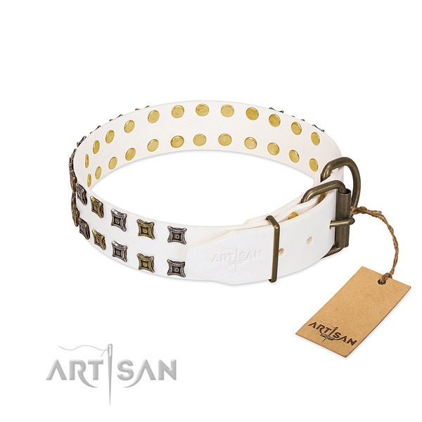 Genuine leather collar with inimitable studs for your four-legged friend