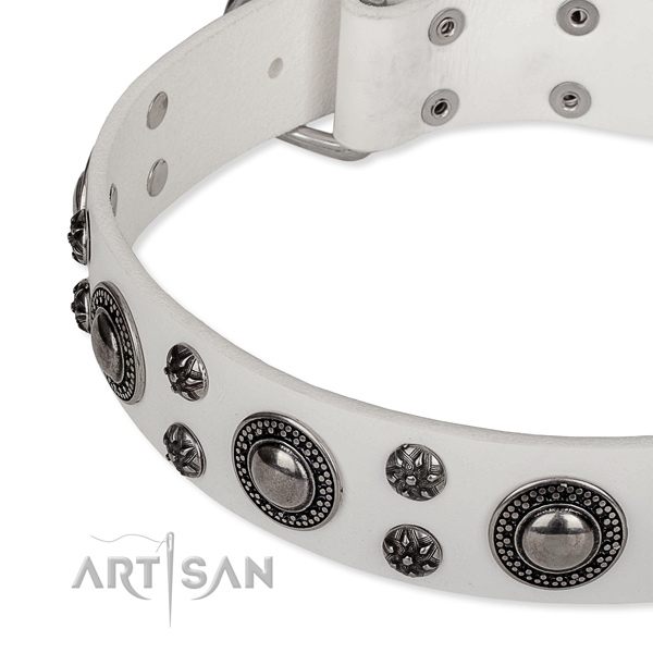 Basic training studded dog collar of fine quality full grain natural leather