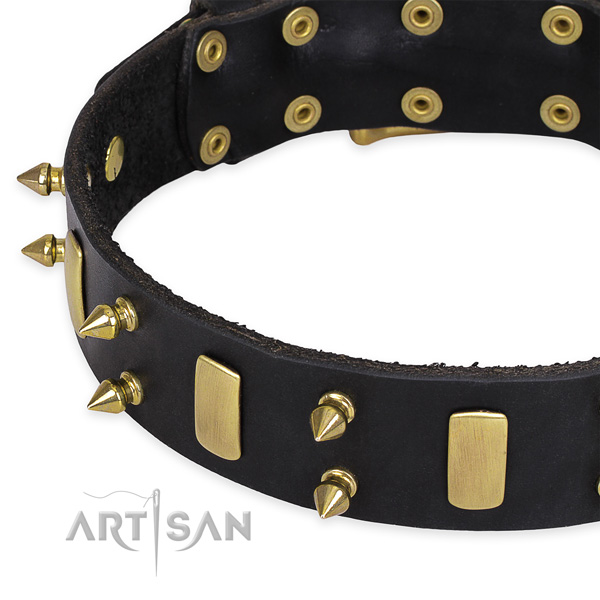 Comfy wearing decorated dog collar of top notch full grain natural leather