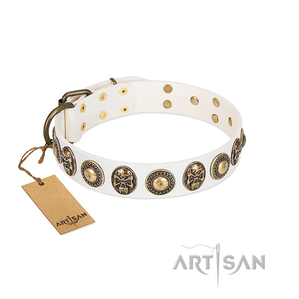 Easy wearing full grain natural leather dog collar for daily walking your canine