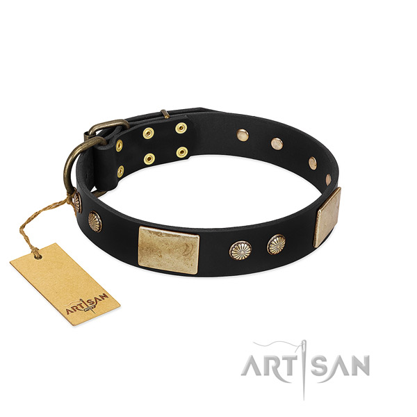Easy wearing leather dog collar for daily walking your four-legged friend