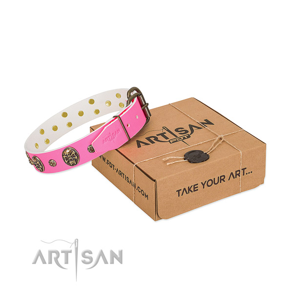 Corrosion proof fittings on leather dog collar for daily walking