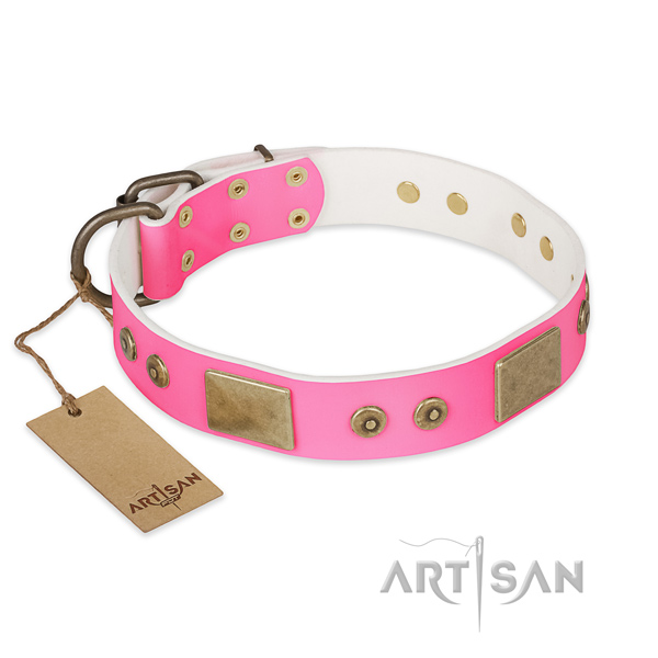 Easy to adjust leather dog collar for everyday walking your dog