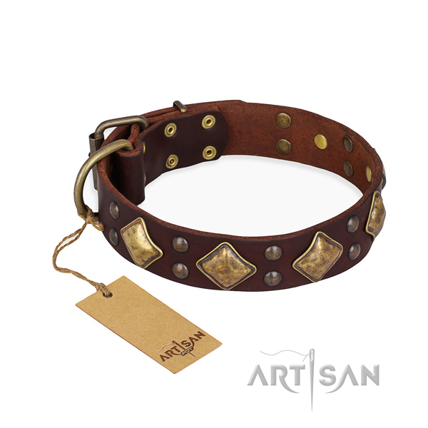 Daily use amazing dog collar with corrosion resistant D-ring