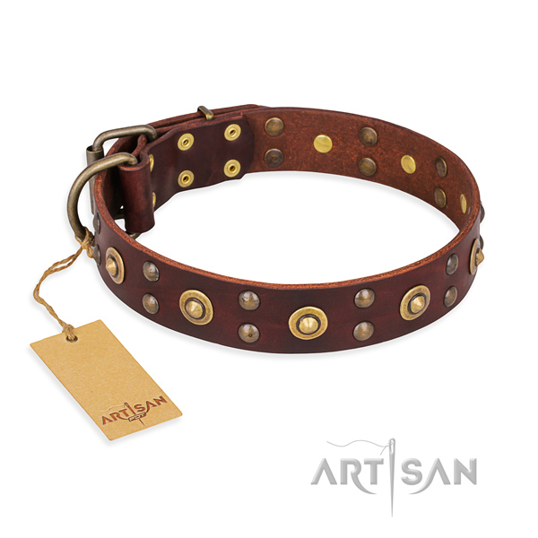 Impressive full grain natural leather dog collar with corrosion resistant fittings