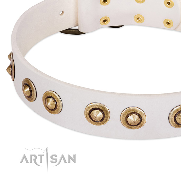 Reliable embellishments on natural leather dog collar for your four-legged friend