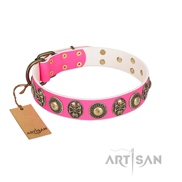 Easy to adjust full grain natural leather dog collar for stylish walking your dog
