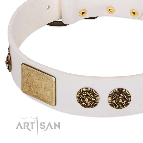 Inimitable dog collar crafted for your stylish doggie