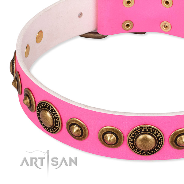 Best quality full grain leather dog collar handmade for your attractive dog