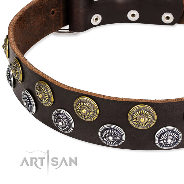 Easy wearing studded dog collar of fine quality natural leather