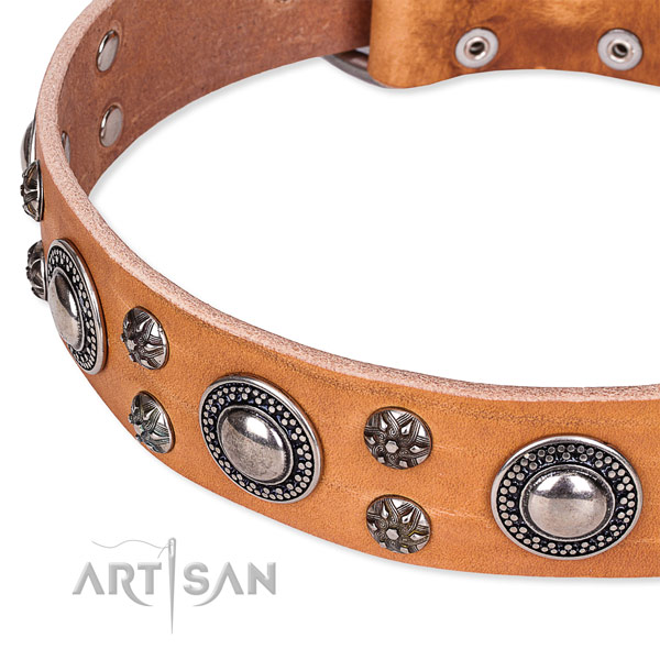 Stylish walking decorated dog collar of top quality full grain leather