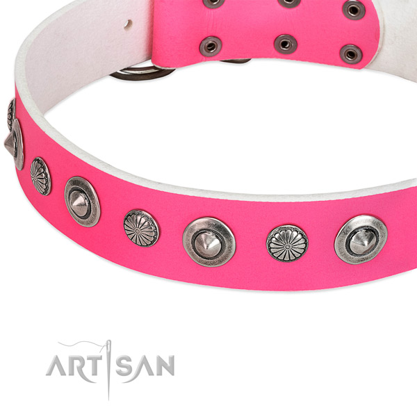 Genuine leather collar with durable D-ring for your stylish doggie