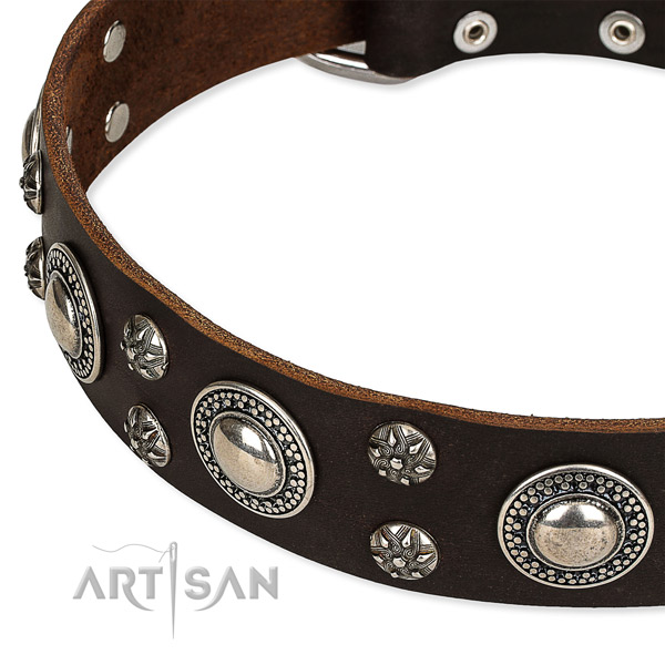 Daily walking decorated dog collar of fine quality leather